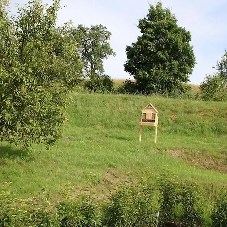 Tatil Evi Tolles Tinyhaus - Wandern, Biken In Der Eifel, Mit Sauna Gransdorf