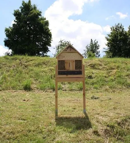 Tolles Tinyhaus - Wandern, Biken In Der Eifel, Mit Sauna *